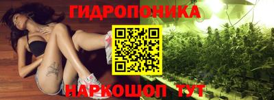 бошки Краснодар