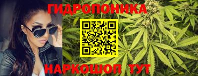 бошки Краснодар