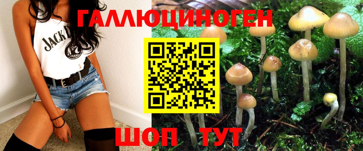 Зеленогорск  Галлюциногенные грибы Psilocybe  Вход с VPN 